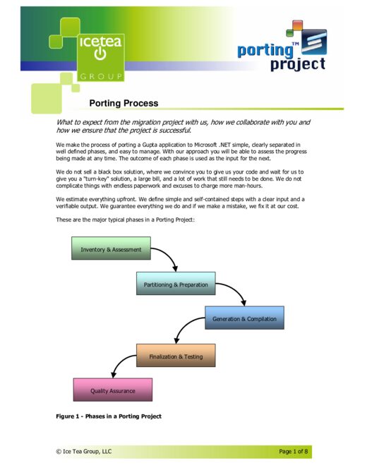First page of “The Porting Process”